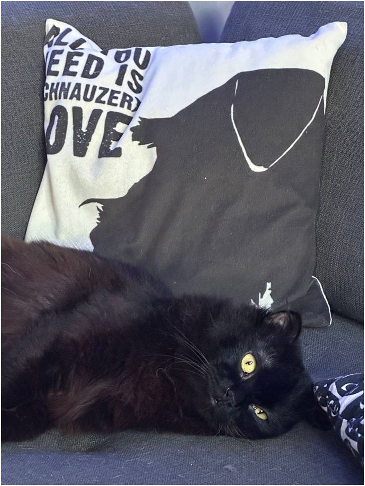 Felix relaxing comfortably on the sofa in the home he shared with Ben