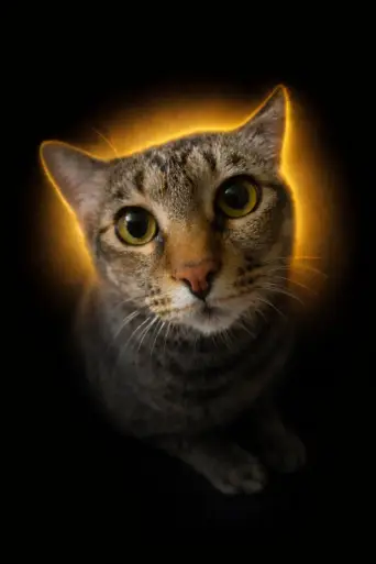 Portrait of Cougar with large yellow-green eyes.