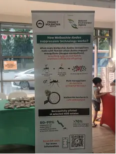 National Environment Agency display about Project Wolbachia.