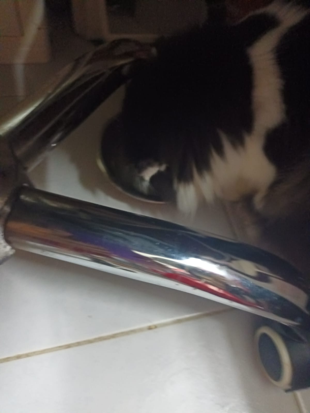 Hershe bending over a bowl to eat by himself beside a metal chair base.