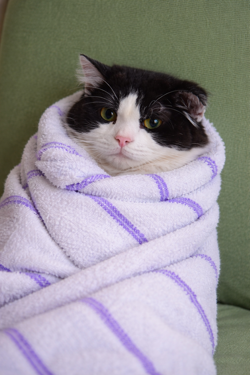 Hershe wrapped in a white towel with purple stripes, ready for assisted feeding.